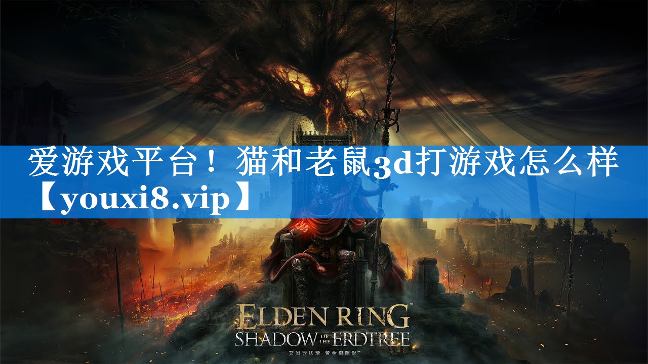 爱游戏平台！猫和老鼠3d打游戏怎么样