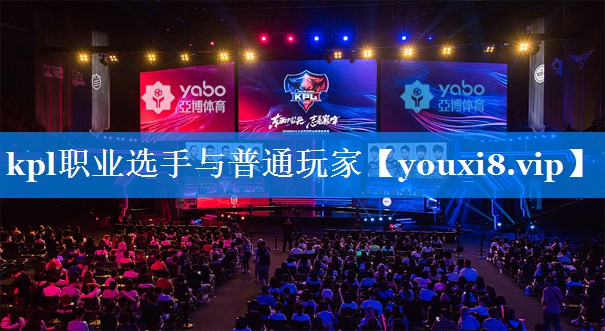 kpl职业选手与普通玩家