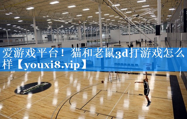 猫和老鼠3d打游戏怎么样 猫和老鼠3d打游戏怎么样
